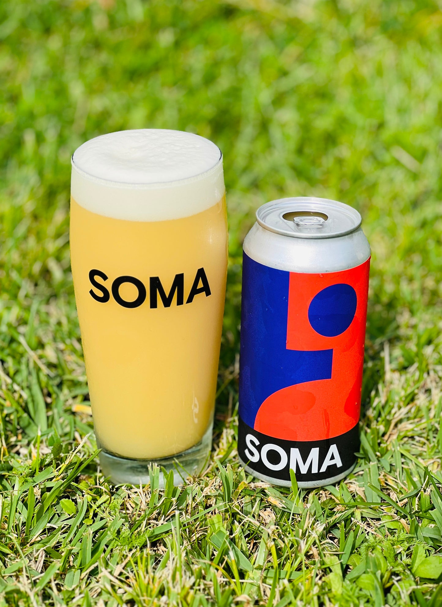 LOW-FI _ IPA _ 6,5%