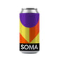 FEVER _ IPA _ 6%