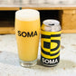 FRACTAL _ IPA _ 7%
