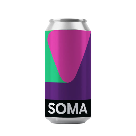 SIMULATION _ IPA _ 7% _ 44 cl (1 UD.)