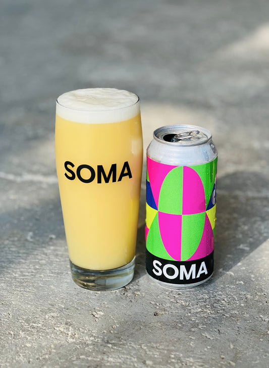 STATIC _ IPA _ 6% _ 44 cl (1 UD.)