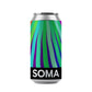 VEIL _ IPA _ 7%