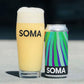 VEIL _ IPA _ 7%